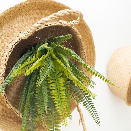 מאלגה Picnic Dreams Boutique Hostel מראה חיצוני תמונה