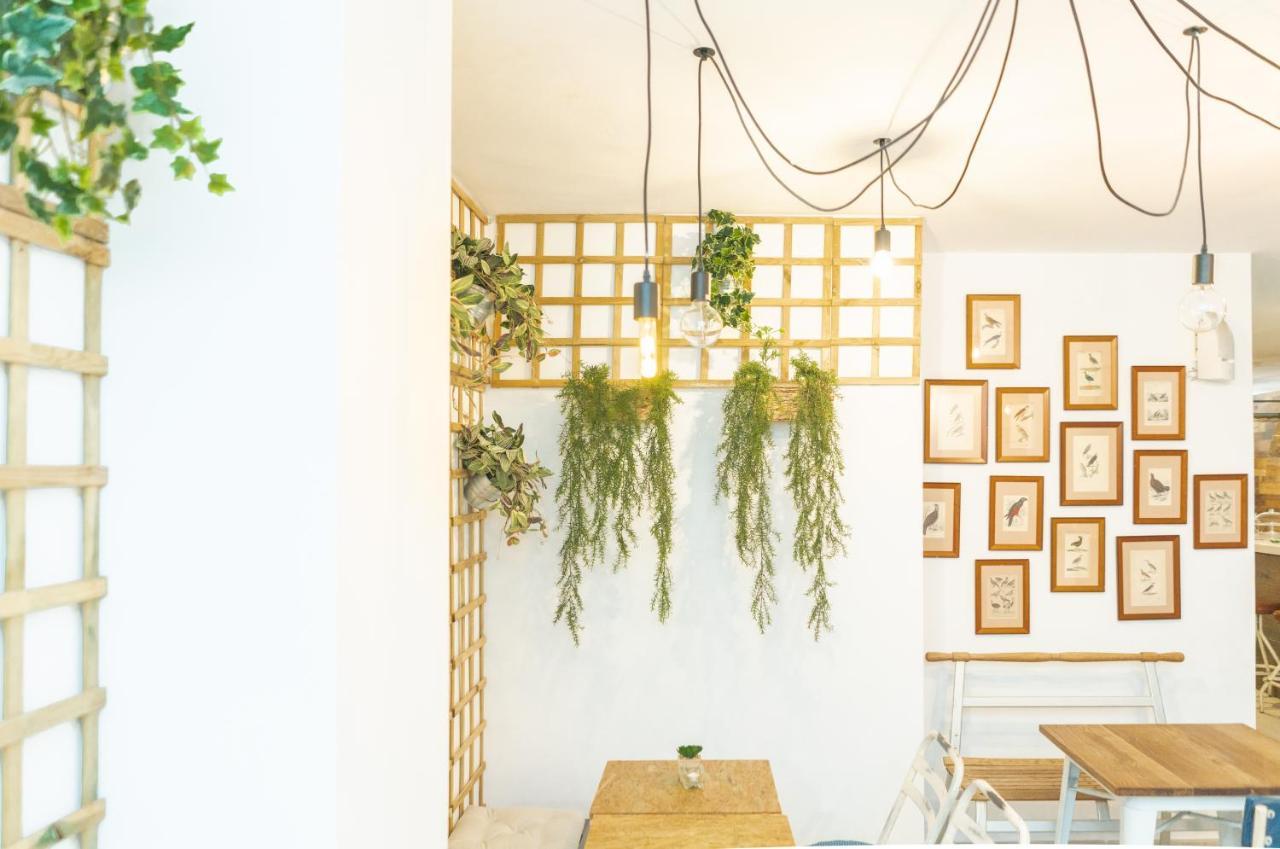 מאלגה Picnic Dreams Boutique Hostel מראה חיצוני תמונה